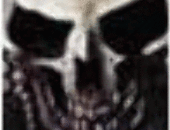 Bryantavalp