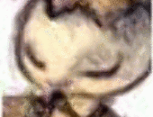 AntonErent