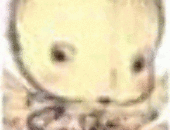 Cyruswem