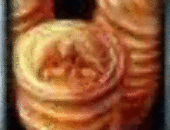 EarnestOriep