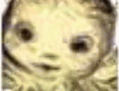 FrankNog