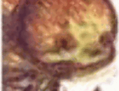 Bngvjrvyvj